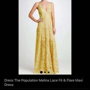 Dress The Population Melina Lace Dress